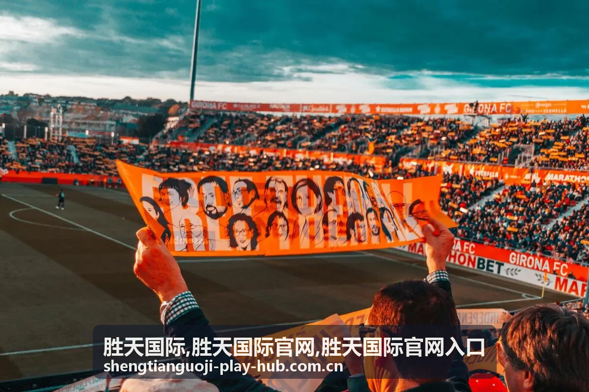 胜天国际官网入口移动端访问说明